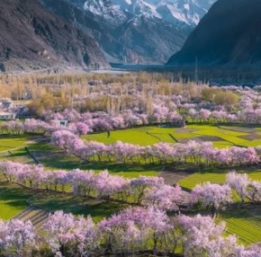 Skardu Tour Blosoom