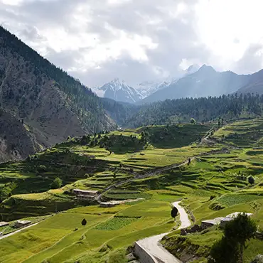 Astore & Minimarg